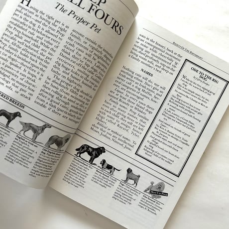 The Official Preppy Handbook. / Lisa Birnbach