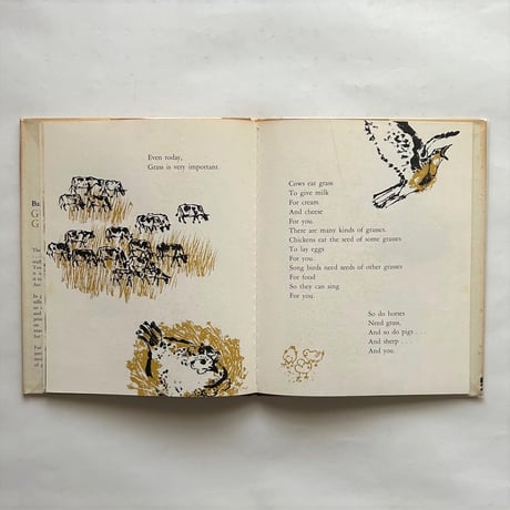 Guess what grasses do / Barbara Rinkoff