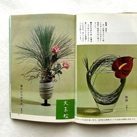龍生派の自由花　素材を新しい目でとらえる / 吉村華泉