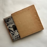 現代建築の構造と表現 / クルト・シーゲル