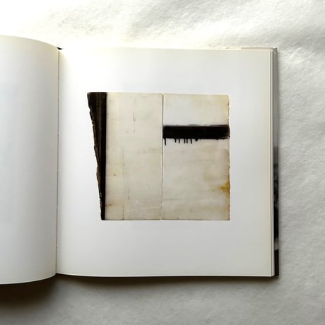 Paintings on Marble / ブライス・マーデン