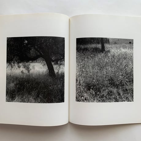camera No 1 / 55th year / C.J.BUCHER.LTD
