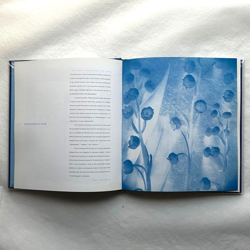 Blue Prints / Zeva Oelbaum | 本まるさんかくしかく
