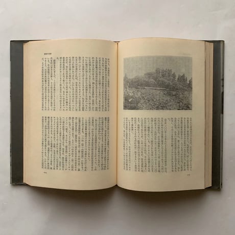 なぜ、植物図鑑か―中平卓馬映像論集