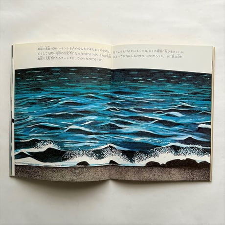キッピスの訪ねた地球 / たくさんのふしぎ　111号