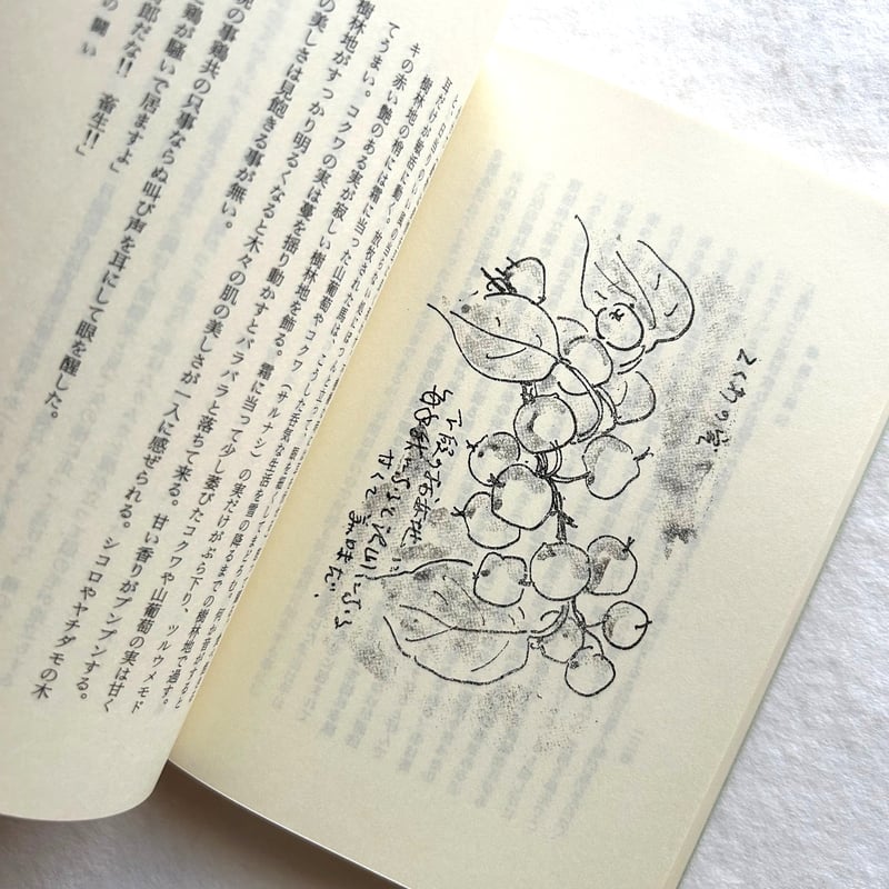 開墾の記（復刻版） / 坂本直行 | 本まるさんかくしかく