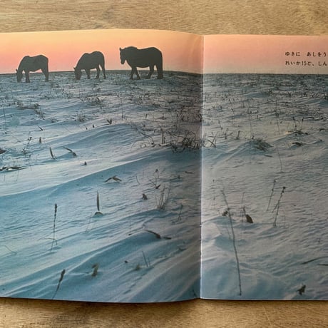 じめん / かがくのとも176号