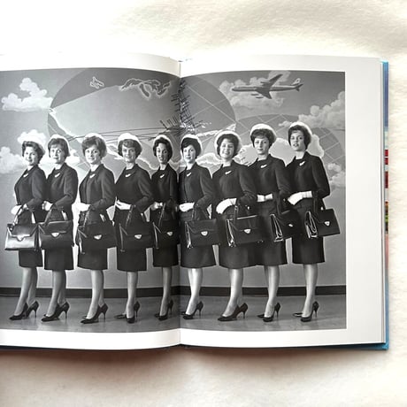 Stewardess: Come Fly with Me! /   Elissa Stein