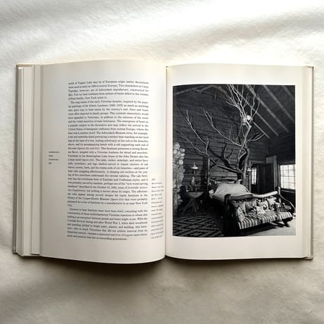 Adirondack Furniture and the Rustic Tradition. / Craig Gilborn