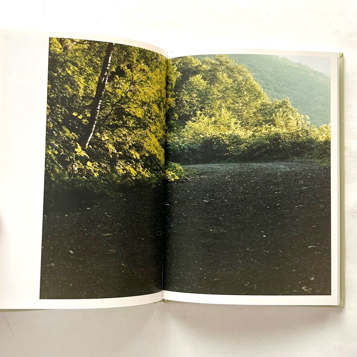 Takashi Homma （ホンマタカシ）: In Our Nature - BOOK OF DAYS