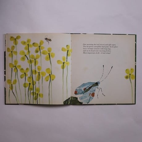 The Caterpillar's Story / Katrin Brandt