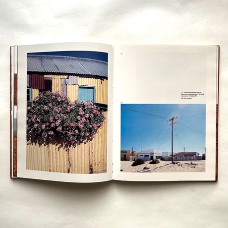 Namaqualand, thirstland in bloom / Chris Jansen