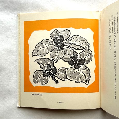 わたしの草と木の絵本 / 坂本直行