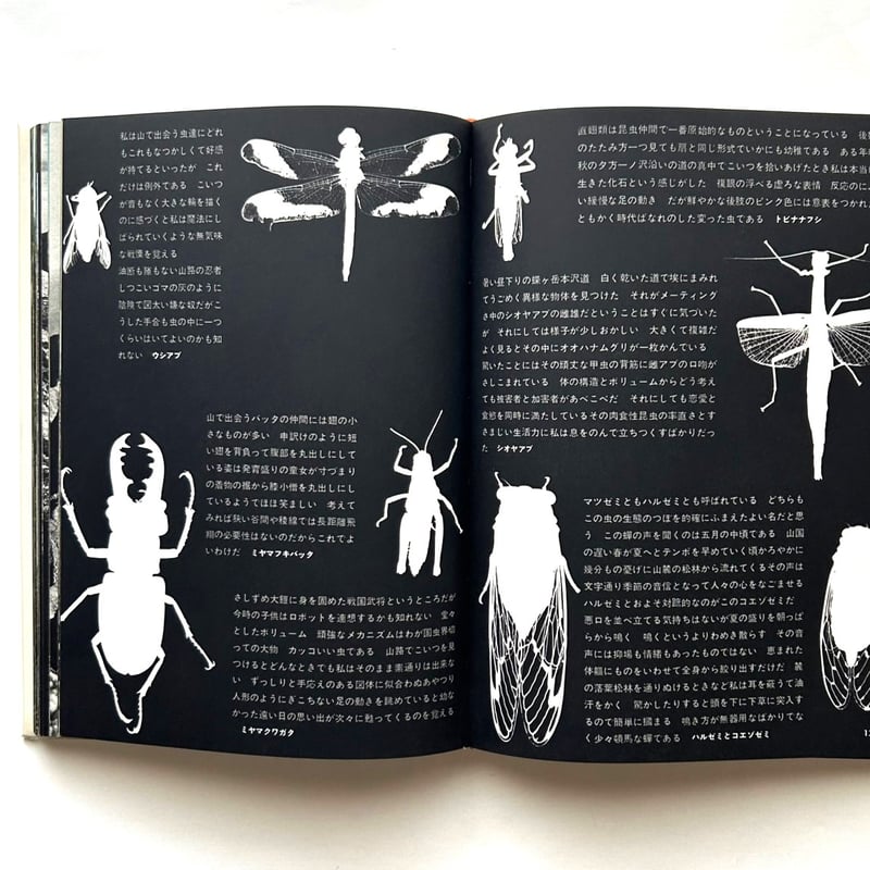 山の意匠 田淵行男写真集 | 本まるさんかくしかく