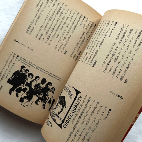BOYS AMERICAN NOTES 雑学少年アメリカ百科 /  平凡社