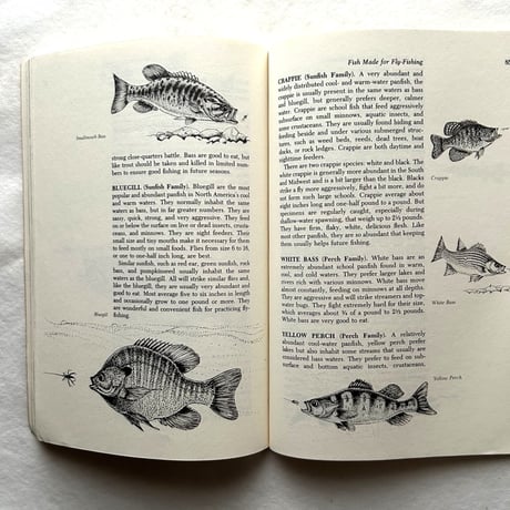 L.L. Bean Fly Fishing for Bass Handbook
