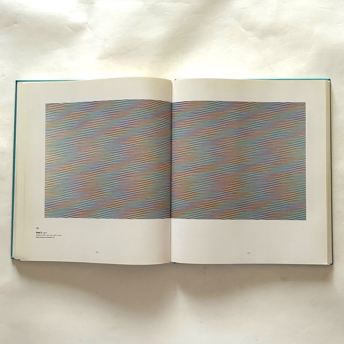Bridget Riley / ‎ Paul Moorhouse | 本まるさんかくしかく