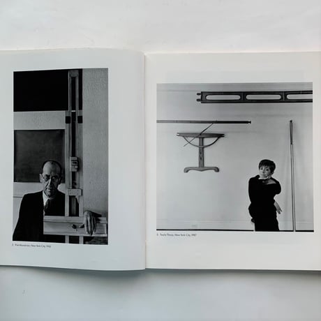 Arnold Newman's Americans / Alan Fern