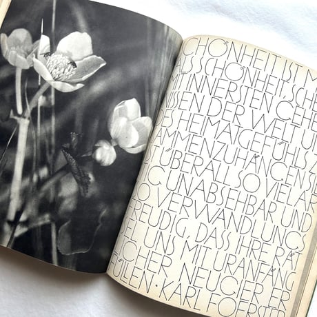 Aus Meiner Gräsermappe / Fritz Kühn フリッツ･クーン