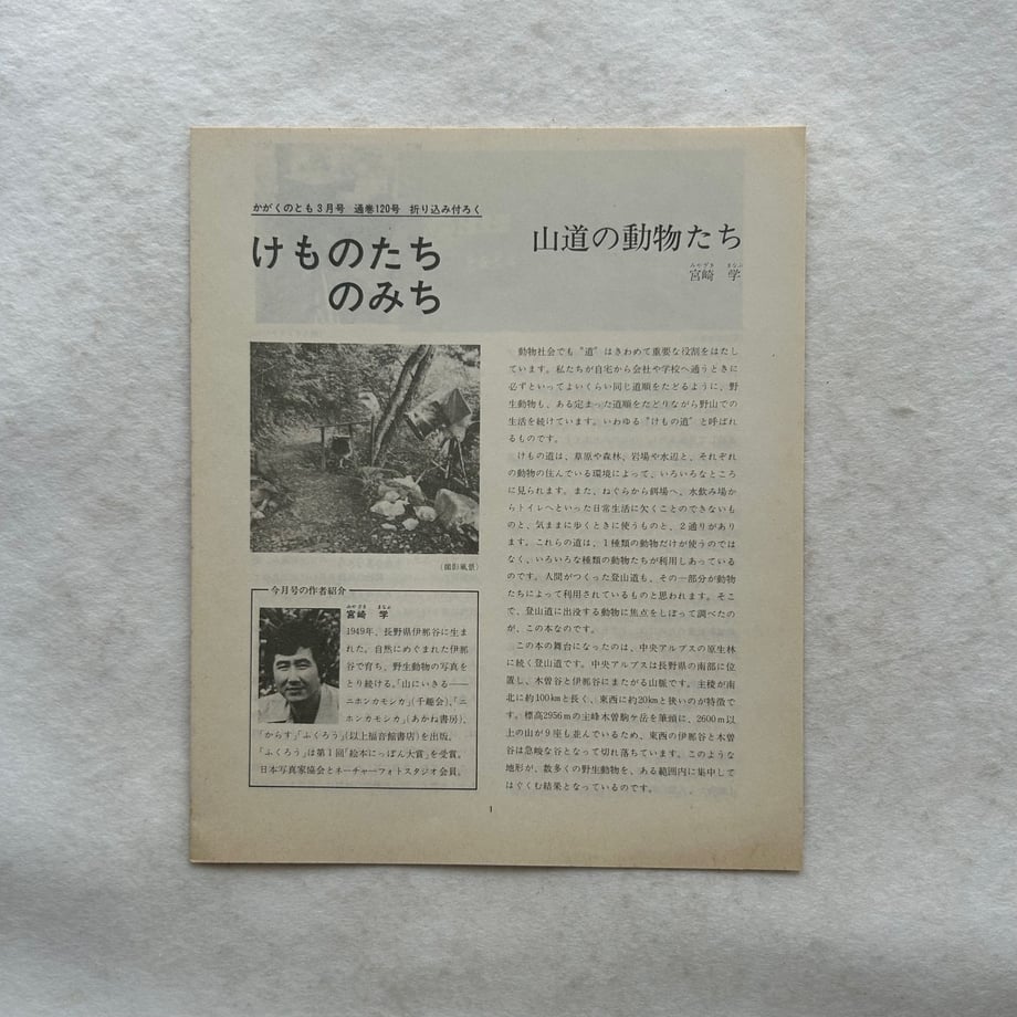 65db3d93c2d1e408f18dfccc