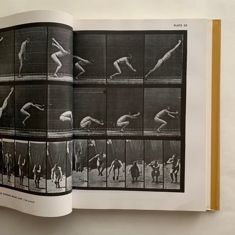 The Human Figure in Motion   / Eadweard Muybridge