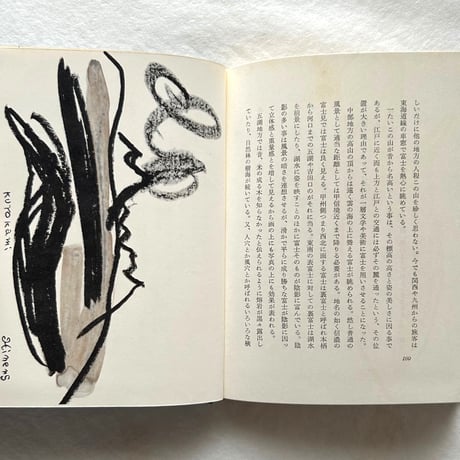 海辺の溶岩 / 曾宮一念