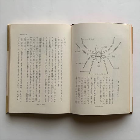 クモの生活   / 萱嶋泉