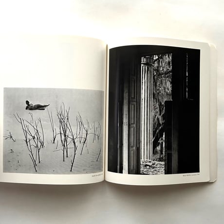 Edward Weston The Flame of Recognition / Edward Weston, Nancy Newhall