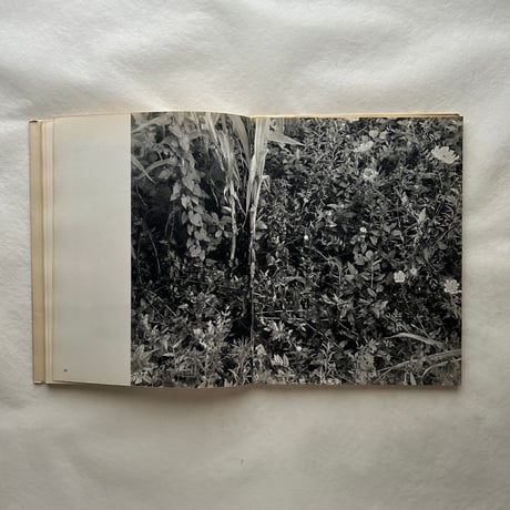 PROVENCE NOIRE / Gilles Ebrmann