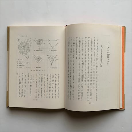 クモの生活   / 萱嶋泉