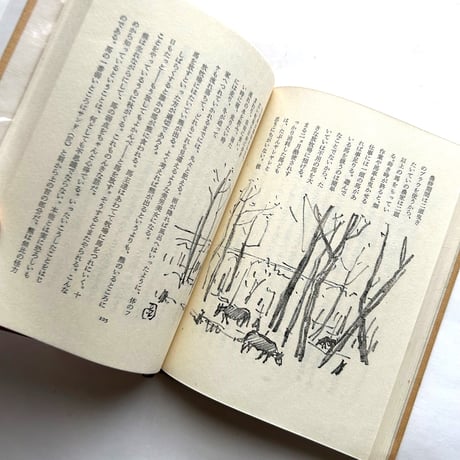 山・原野・牧場 / 坂本直行