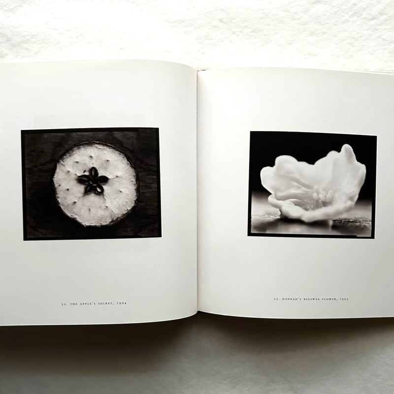Monique's Kindergarten モニークの幼稚園 / Michael Kenna