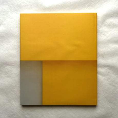 Ellsworth Kelly   Relief Paintings 1954-2001 / Sarah Rich