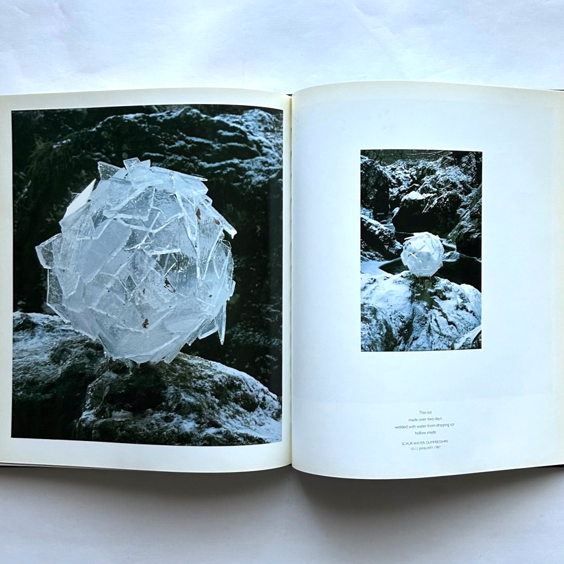 A Collaboration with Nature | 本まるさんかくしかく