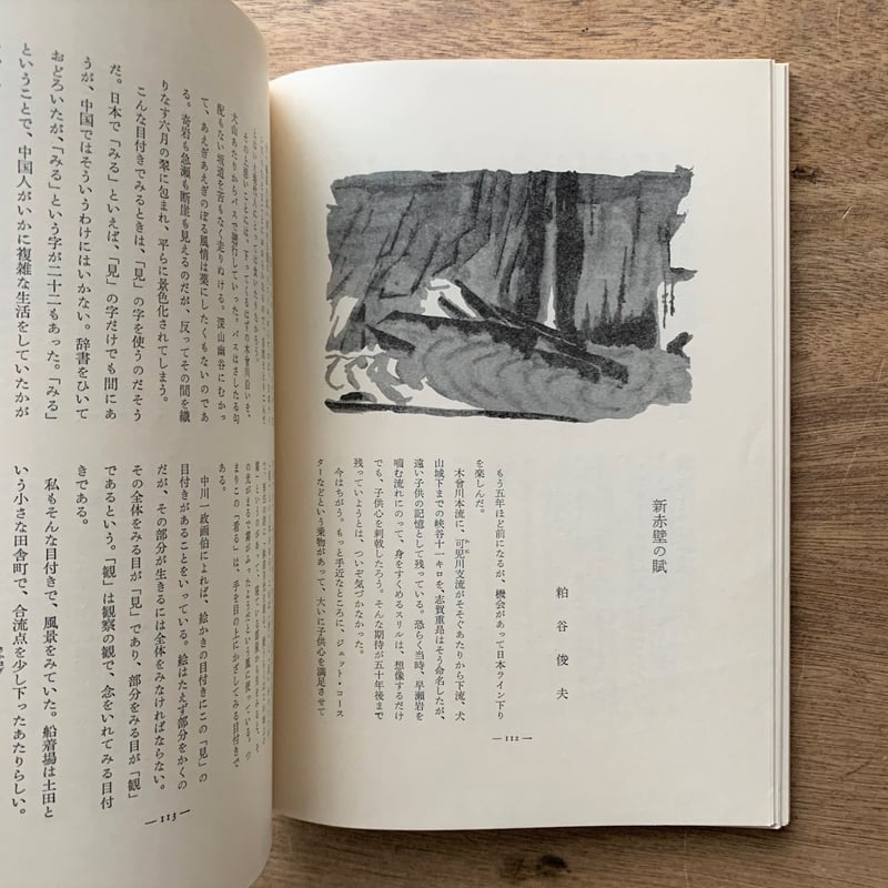 アルプ225号 / 特集 渓谷 | 本まるさんかくしかく