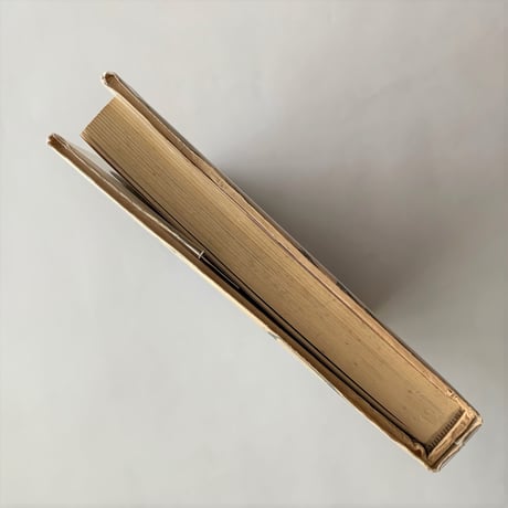 漂着物の博物誌  / 石井忠