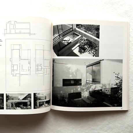 David Chipperfield / Kenneth Frampton