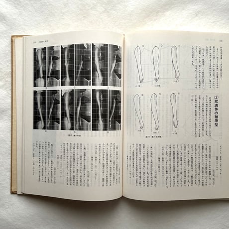 服装造形論  着て・動いて・美しく / 小池千枝