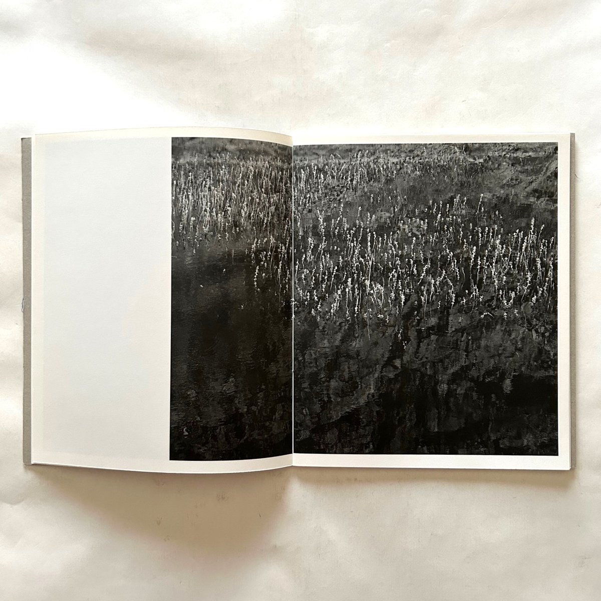 Blanco / Awoiska Van Der Molen | 本まるさんかくしかく