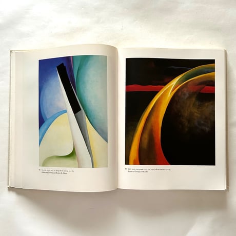 Georgia O'Keeffe  Art and Letters / Jack Cowart, Juan Hamilton