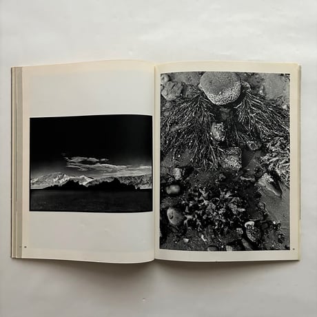 camera No 3 / 54th year / C.J.BUCHER.LTD