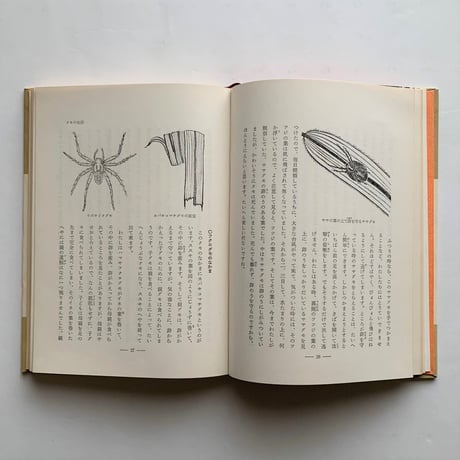 クモの生活   / 萱嶋泉