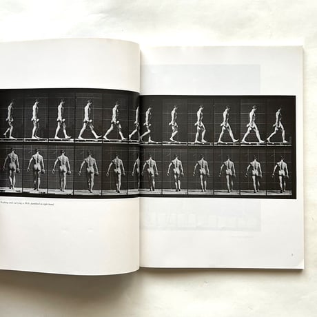 Male and Female Figure in Motion / Eadweard Muybridge