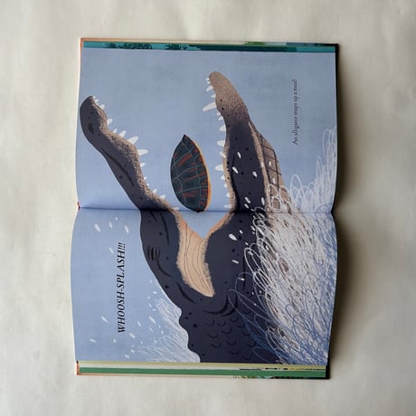 Over and Under the Wetland / Christopher Silas Neal, Kate Messner