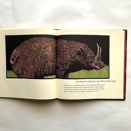 Ever Heard of an Aardwolf?/ Madeline Moser