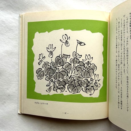 わたしの草と木の絵本 / 坂本直行