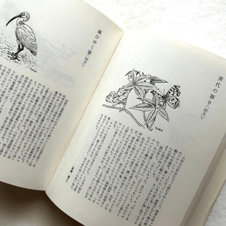 自然手帖 / 串田孫一 、尾崎喜八、太田黒克彦 他