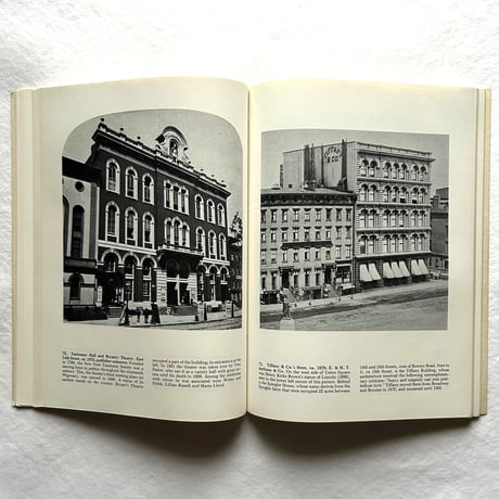 Nineteenth-Century New York in Rare Photographic Views / Frederick S. Lightfoot
