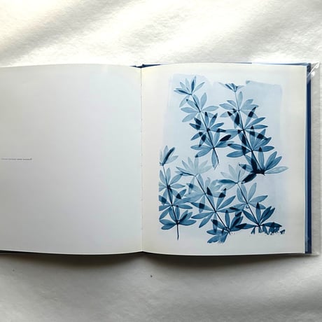 Blue Prints / Zeva Oelbaum