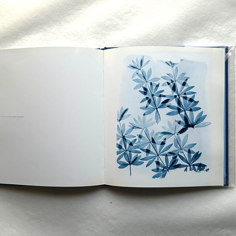 洋書 Blue Prints Zeva Oelbaum Blue Prints / Zeva Oelbaum | 本まるさんかくしかく